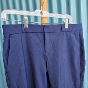 Banana Republic Navy Avery Pants